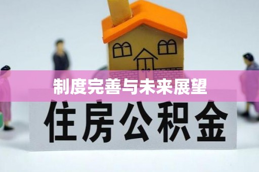 萧县制度完善与未来展望