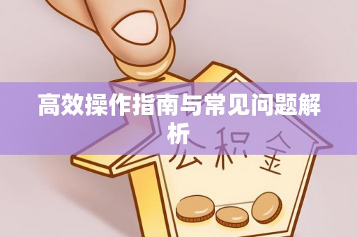 萧县高效操作指南与常见问题解析