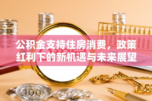 萧县公积金支持住房消费，政策红利下的新机遇与未来展望