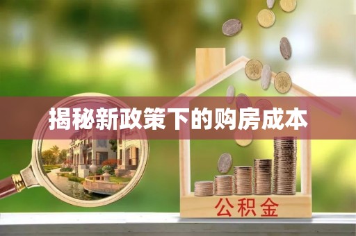 萧县揭秘新政策下的购房成本